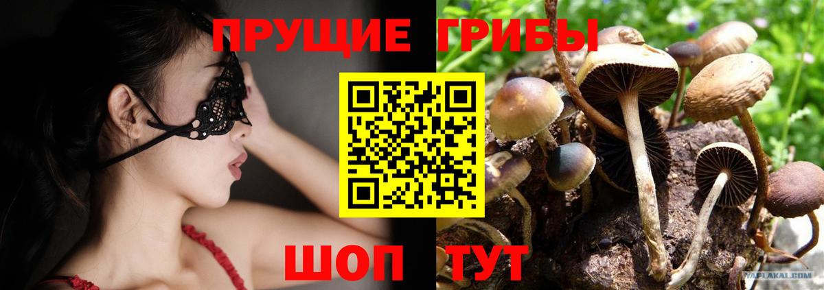 Кыштым  Галлюциногенные грибы Cubensis  Вход с VPN 